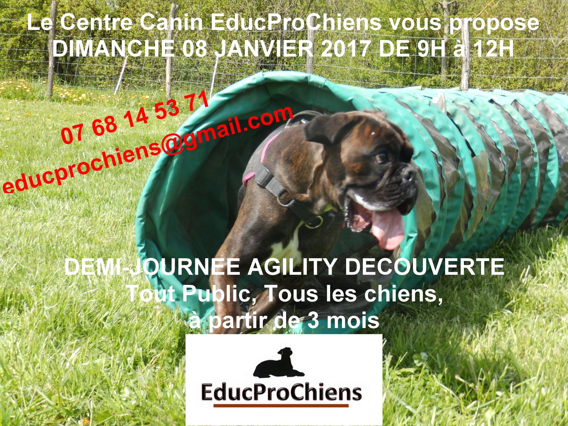 Agility decouverte 08 01 17