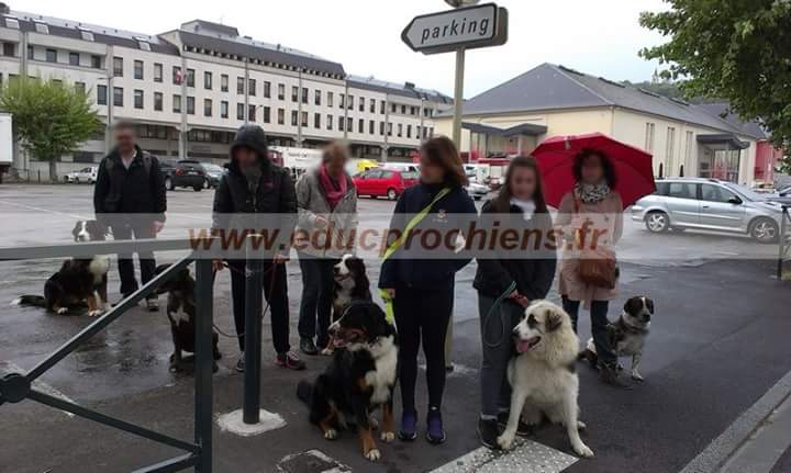 Fb img 1494226697030