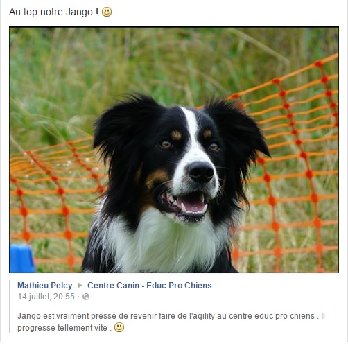 Jango juillet 2016