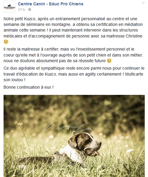 Mediation animale kuzco