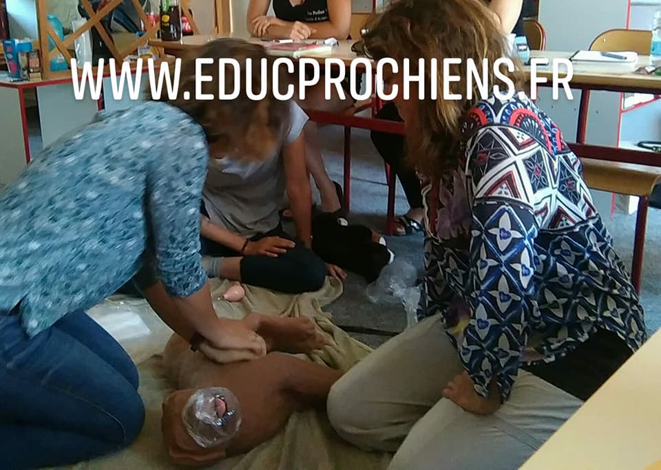 Premiers secours image