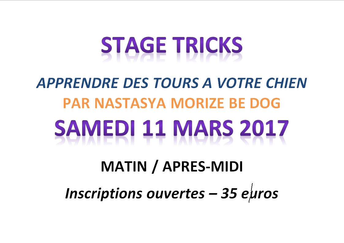 Stage tricks image