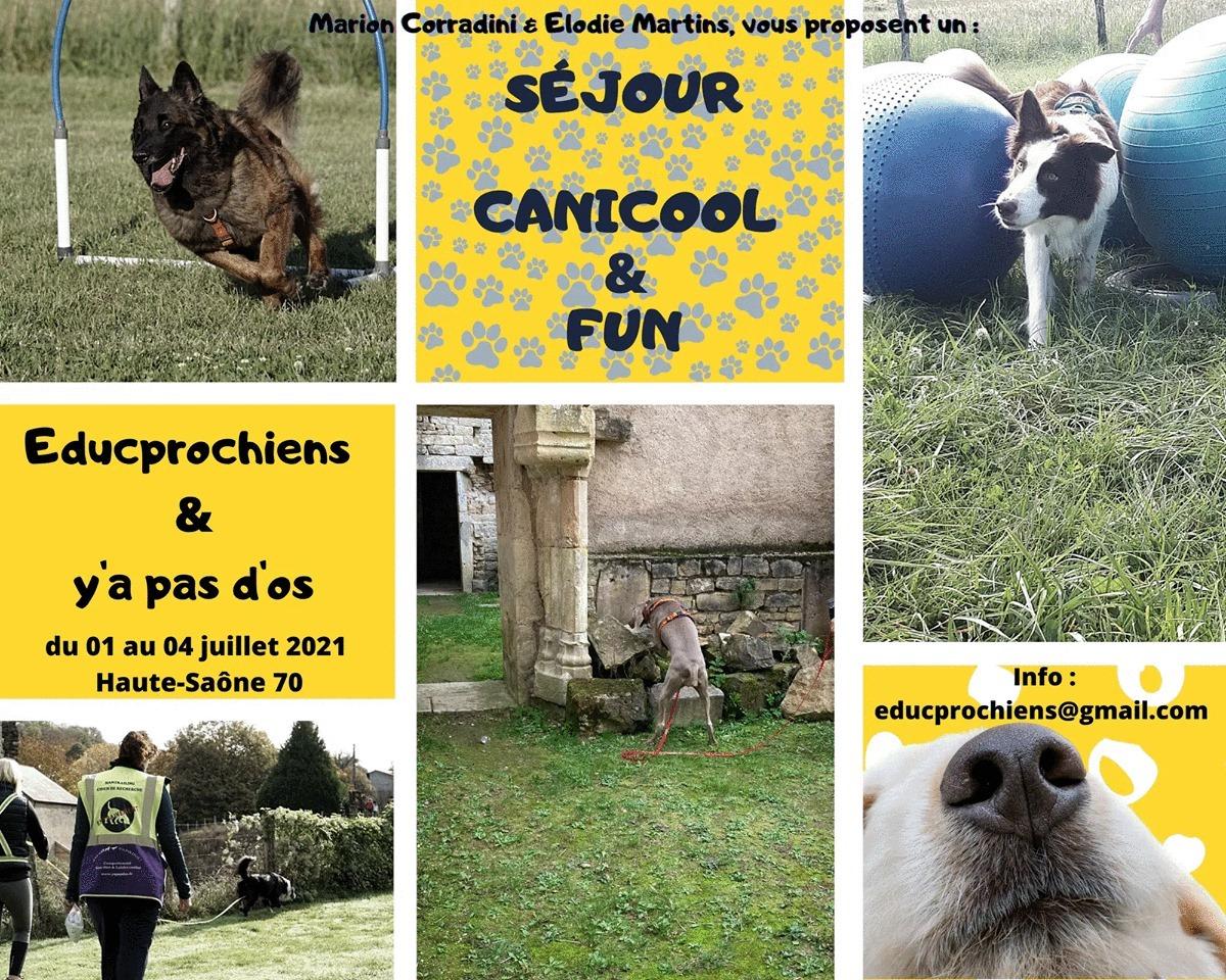 Canicoolandfun