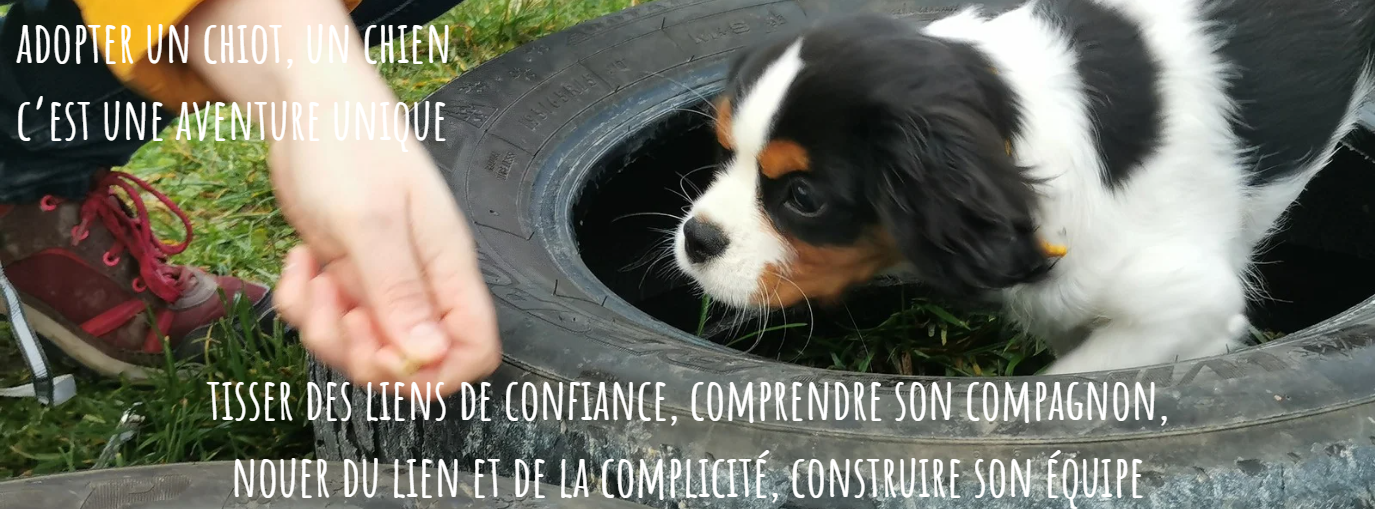 Capture d ecran 2024 08 18 150914