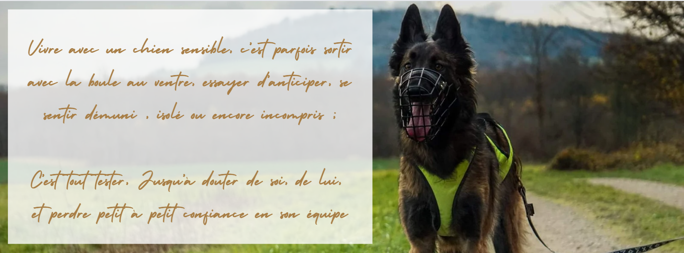 Capture d ecran 2024 08 18 151140