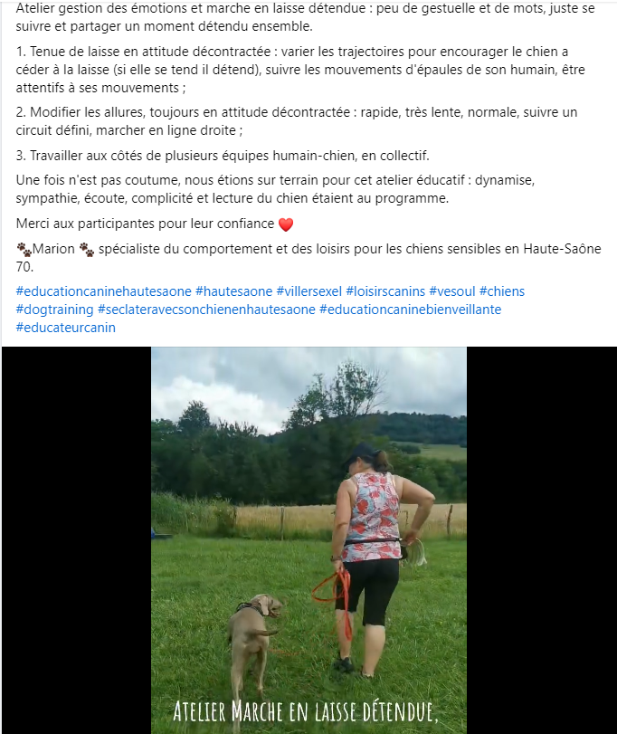 Capture d ecran 2024 08 18 165509
