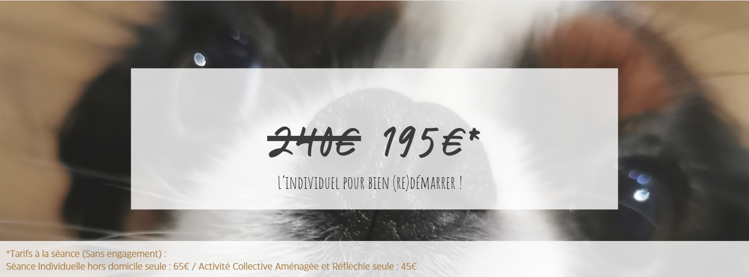 Capture d ecran 2025 02 17 161804