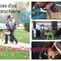 Img 20200205 231656