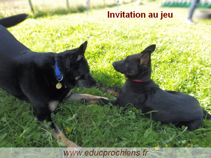 Invitation au jeu