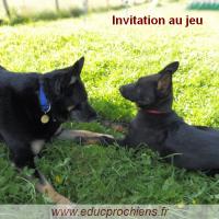 Invitation au jeu