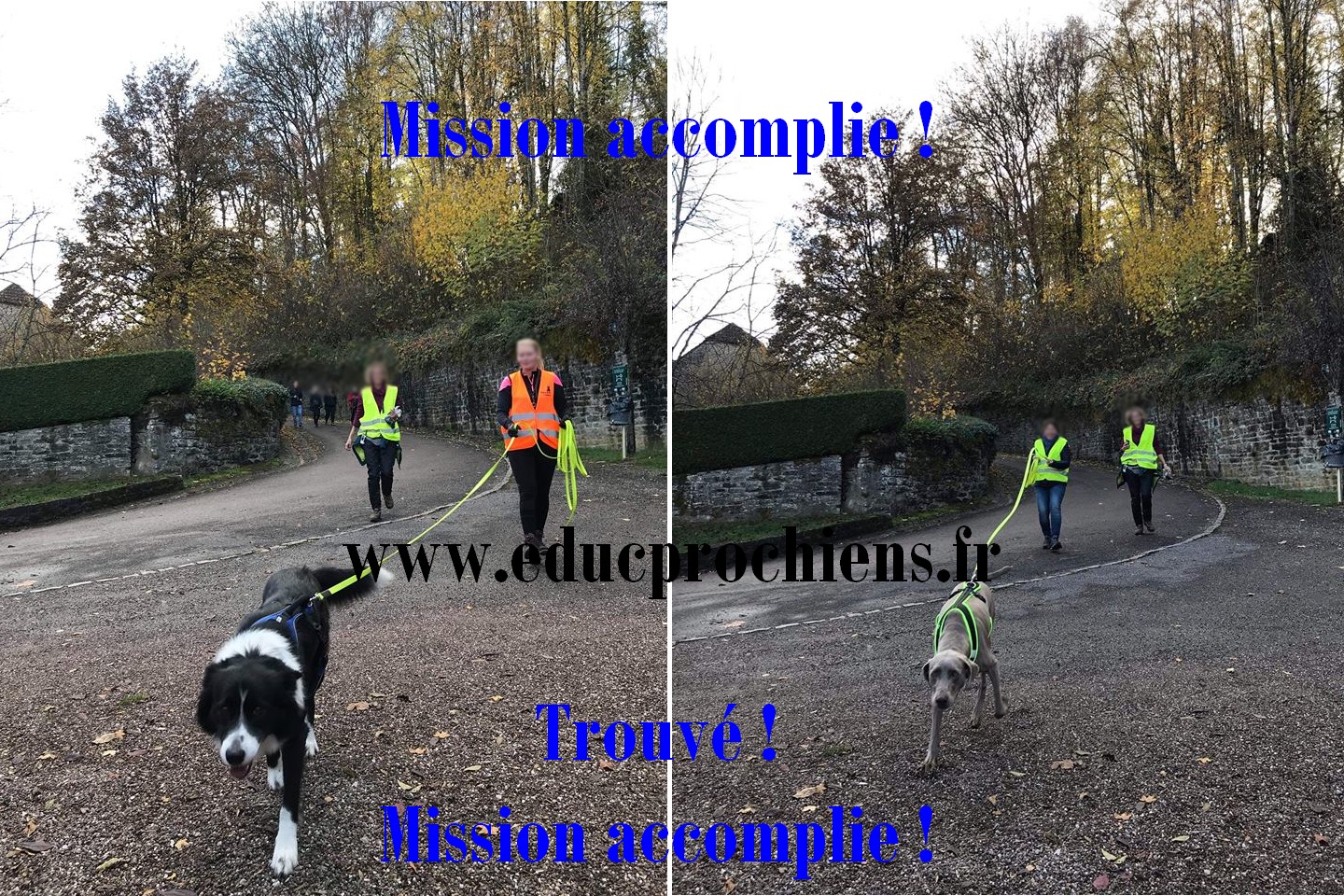 Luna et Lasko dans Villersexel