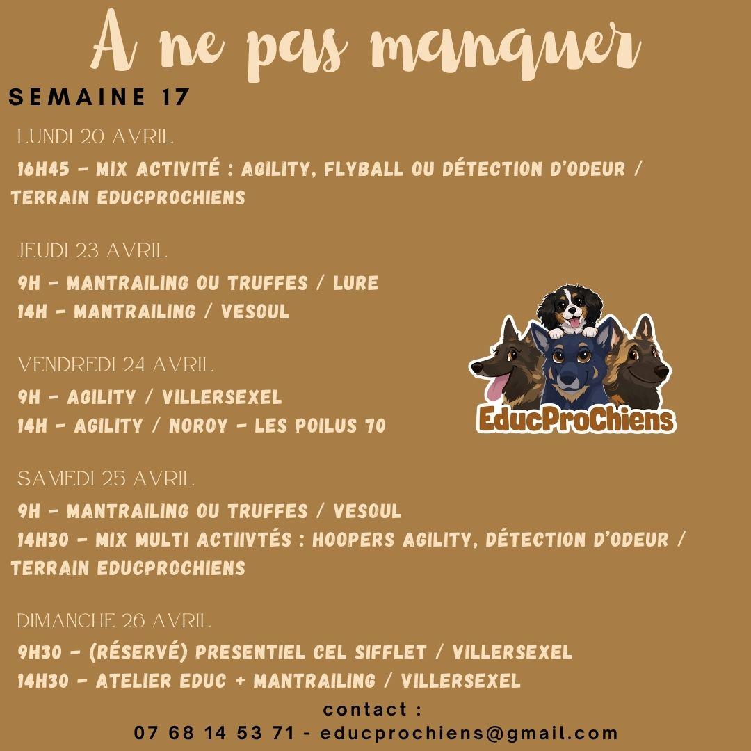 Planning hebdo 2026 1