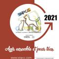 Plaque 2021 3 choix valide min