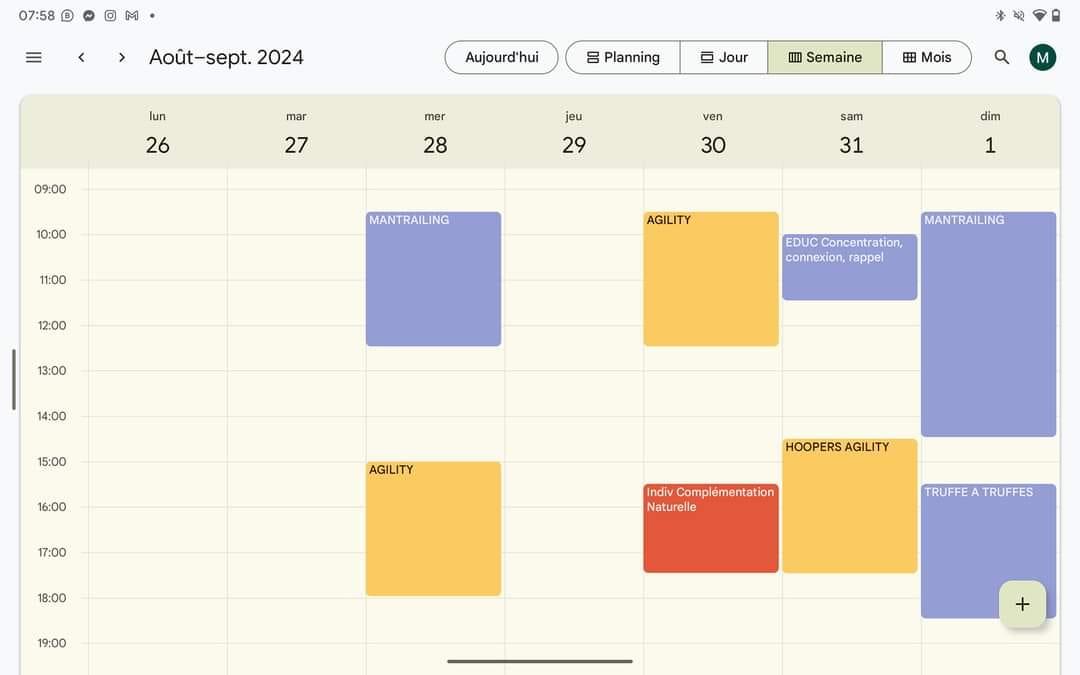 Semaine 26