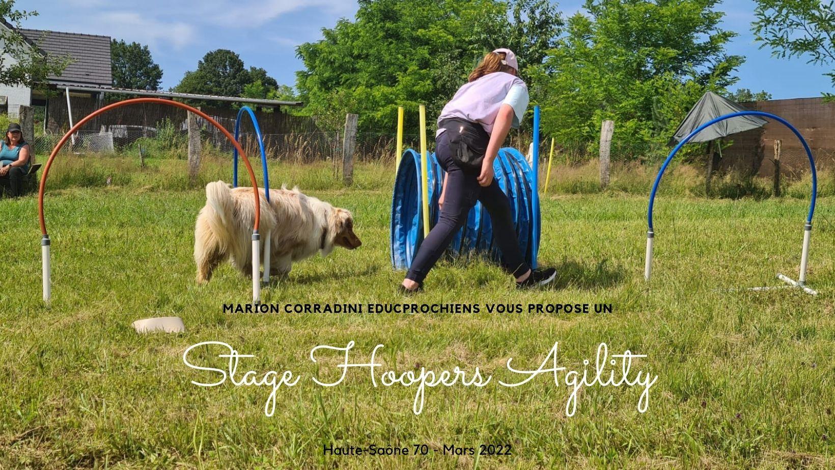Stage hoopers agility