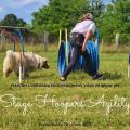 Stage hoopers agility