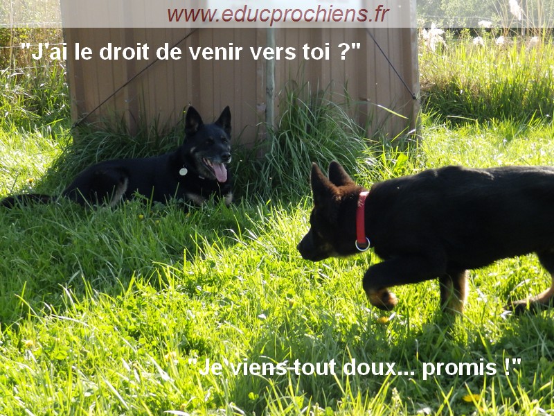 Approche de côté