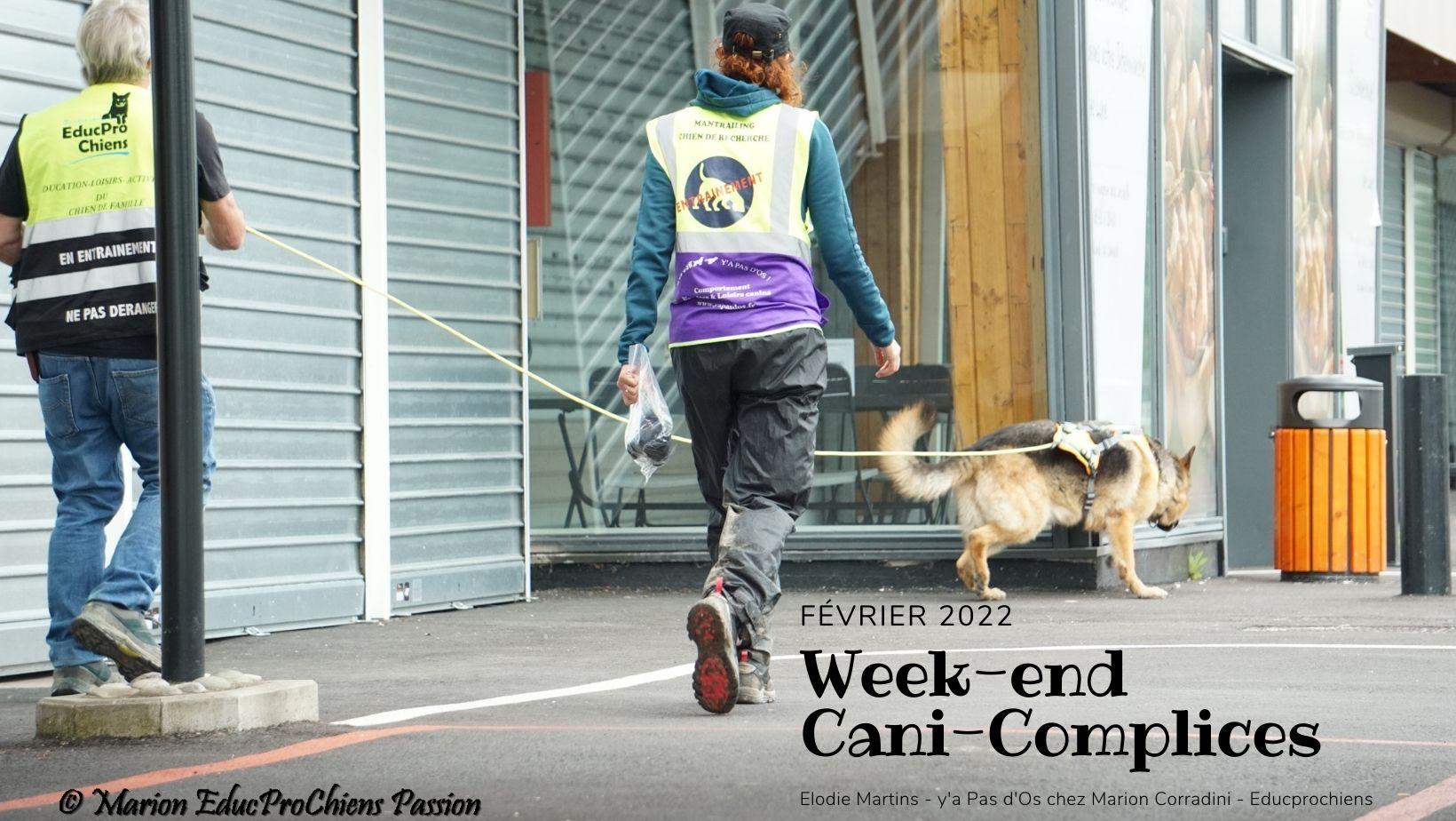 Week end cani complices